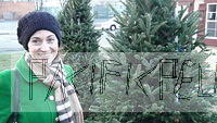 Jessica buying the Christmas tree
